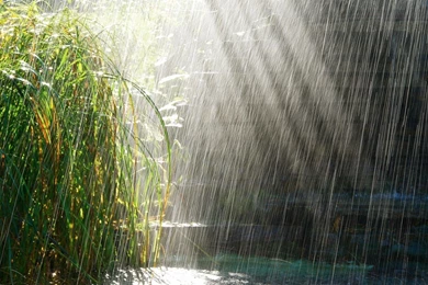 Raining At The Pond Wallpapers   Nature Wallpapers