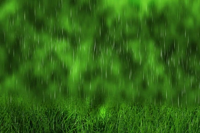 Rain Wallpapers   Digital Art Wallpapers