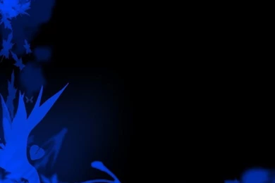 Blue Black Wallpapers 8 Black And Blue Wallpapers