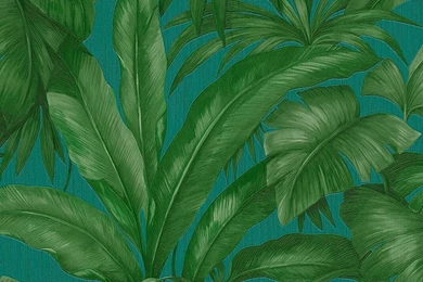 Wallpapers Collection «Versace Wallpapers 2» By «Versace Home»