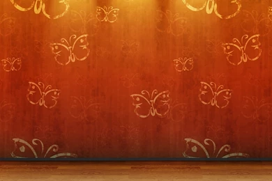 Download Wallpapers 1920x1080 Butterfly, Background, Light, Color ...