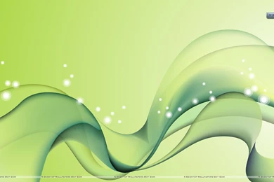 Light Green Color   Wallpaper.