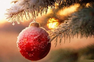 Frozen Christmas Mac   HD Wallpapers Blog