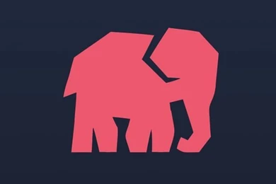 Elephant Wallpapers On Pinterest