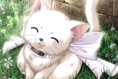 Kitty Cute Anime Original Wallpapers