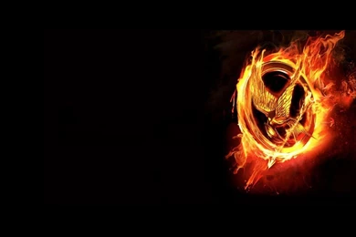 Hunger Games Backgrounds