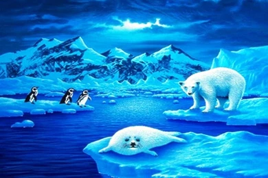 Iceberg Wallpapers >> Backgrounds With Quality HD