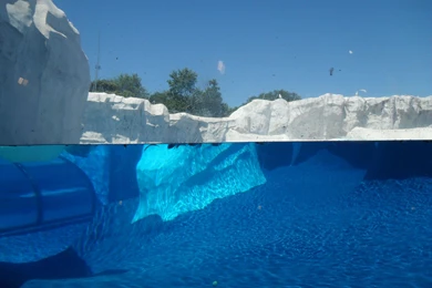 Underwater Iceberg Wallpapers   Wallpaper.