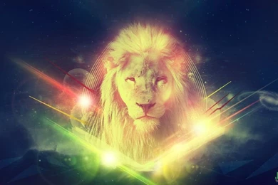 Lion Wallpapers