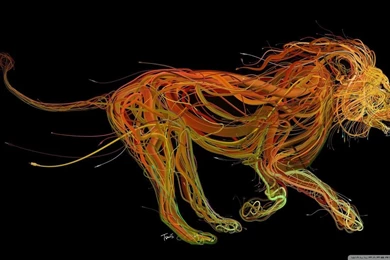 Lion HD Desktop Wallpapers : Widescreen : High Definition : Fullscreen