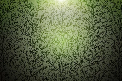 Download Wallpapers 1920x1200 Grass, Patterns, Backgrounds ...