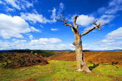 Wallpapers Wide Free Download   HD Wallpapers And Pictures