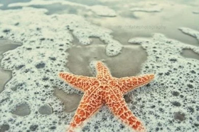 Summer Wallpapers On Pinterest