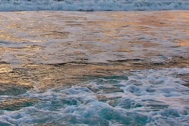 Summer iphone wallpaper 3.jpg