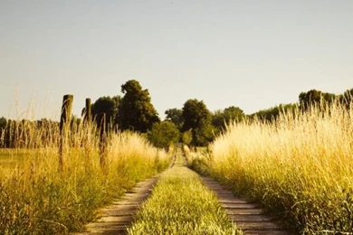 Country Road, Late Summer HD Desktop Wallpapers : High Definition ...