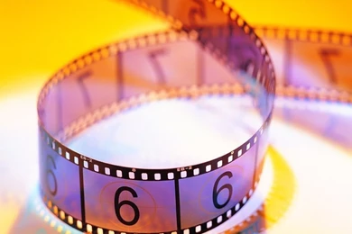 Free Wallpapers   Free Photography Wallpapers   Film Wallpapers ...