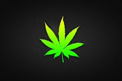 Fonds D'écran Marijuana : Tous Les Wallpapers Marijuana