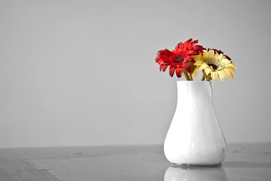 Flower Pot Wallpapers   HD Wallpapers Pretty