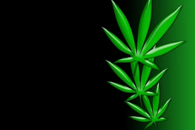 Cannabis wallpaper desktop i9.jpg