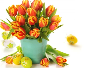 Download Flower in Pot Wallpaper 625 0x0.jpg