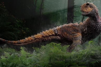 Dinosaur Wallpapers HD