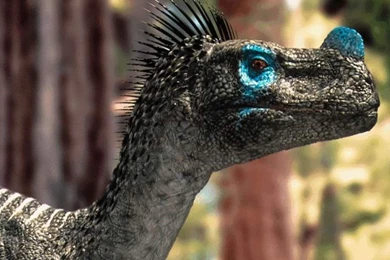 HD Animal Wallpapers: HD Dinosaurs Wallpapers