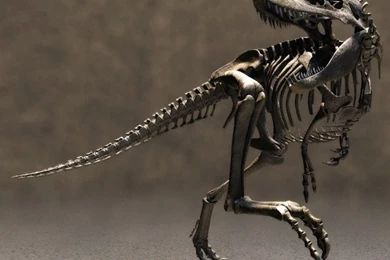 Dinosaurs Wallpapers 030, Free Desktop Wallpapers, Cool Wallpapers