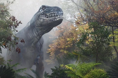 Tyrannosaurus Rex Animals Dinosaurs Wallpapers