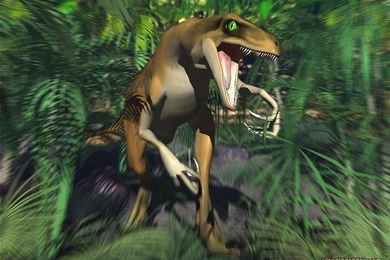 Raptor   Dinosaurs Wallpapers (9173183)   Fanpop