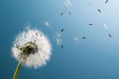 HD Samsung wallpaper 7.jpg