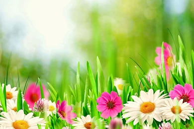 Top 10 Samsung Galaxy S5 Latest HD Wallpapers