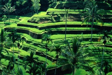 Bali, Indonesia HD Desktop Wallpapers : High Definition ...