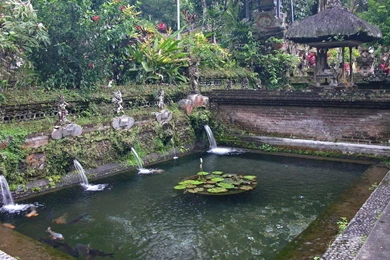 Bali Wallpaper, Indonesia