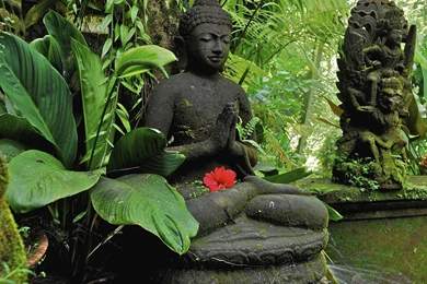 Buddha In The Jungle On Bali Wallpapers And Images   Wallpapers ...
