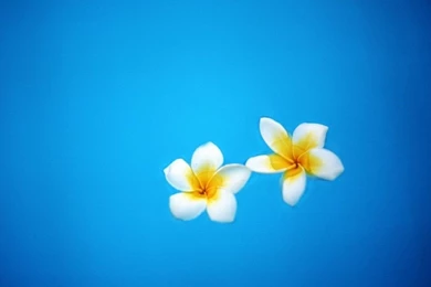 Free Wallpapers   Free Travel Wallpapers   Bali 1 Wallpapers ...