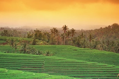 Free Wallpapers   Free Travel Wallpapers   Bali 1 Wallpapers ...