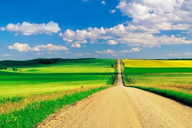 Samsung DROID Charge Stock Wallpapers 5.jpg