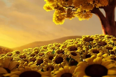 Sunflowers World HD 1024x768 Wallpapers, 1024x768 Wallpapers ...