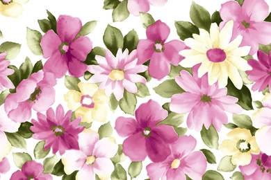 HD Flower Illustrations Design   Floral Patterns   Floral ...