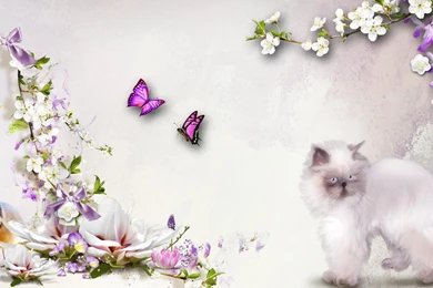 Floral Wallpapers >> Backgrounds With Quality HD Page 4