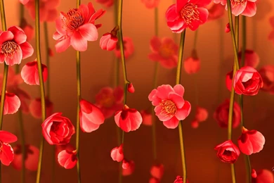 Floral Designs HD Wallpaper 6.jpg