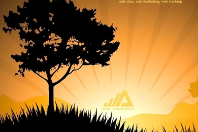 Fall wallpaper 1024x768