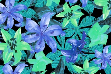 HD Flower Illustrations Design   Floral Patterns   Floral ...