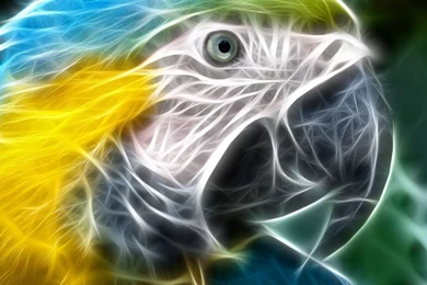 Cool Animal Backgrounds