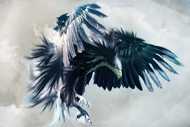 Cool eagle pics wallpaper.jpg