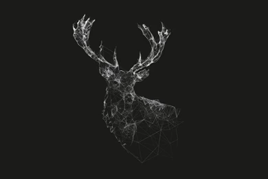 108 Deer HD Wallpapers