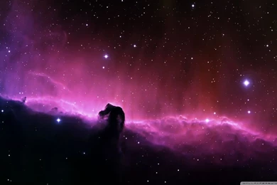 Horsehead Nebula HD Desktop Wallpapers : High Definition ...
