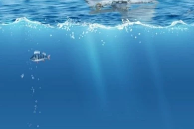 Wallpapers For Iphone: Hd Nature Wallpapers Iphone