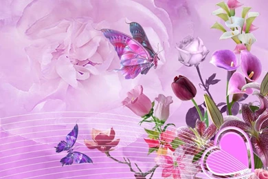 Flower Images Wallpapers Download