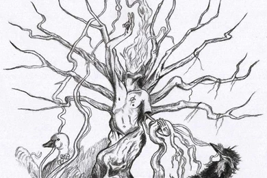 We Came As Romans Tracing Back Roots Album Artwork By ...